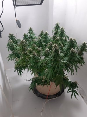 20231025_220842.jpg 20231025_220842.jpg