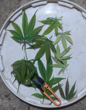 20230825_202151.jpg 20230825_202151.jpg