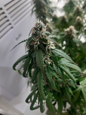 20231025_220647.jpg 20231025_220647.jpg