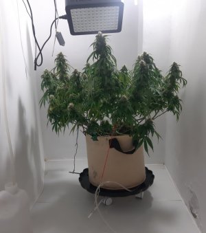 20231025_220550.jpg 20231025_220550.jpg