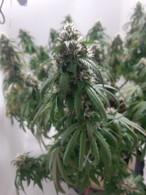 20231025_220501.jpg 20231025_220501.jpg