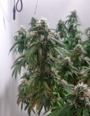 20231027_221503.jpg 20231027_221503.jpg