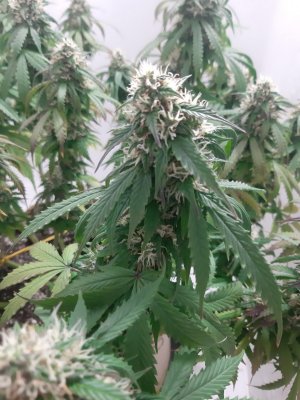 20231027_221444.jpg 20231027_221444.jpg