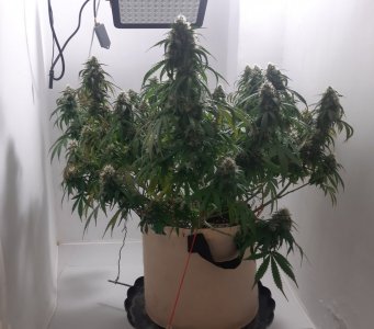 20231027_221417.jpg 20231027_221417.jpg