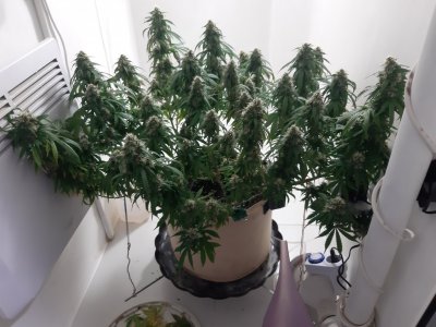 20231027_221302.jpg 20231027_221302.jpg