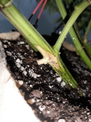 20231027_221248.jpg 20231027_221248.jpg