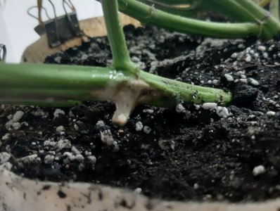 20231027_220920.jpg 20231027_220920.jpg