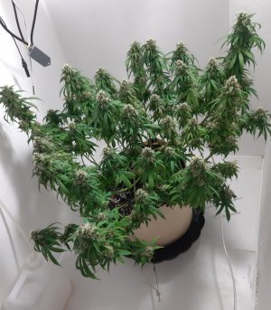 20231027_221123.jpg 20231027_221123.jpg