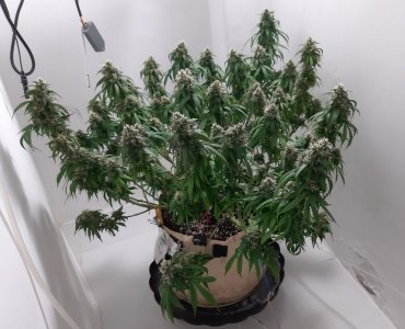 20231027_220854.jpg 20231027_220854.jpg