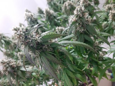 20231027_220753.jpg 20231027_220753.jpg