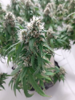 20231027_220836.jpg 20231027_220836.jpg