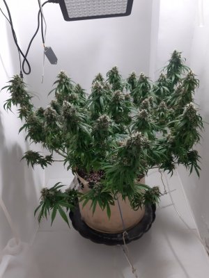 20231028_133119.jpg 20231028_133119.jpg