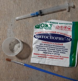 20231028_133008.jpg 20231028_133008.jpg