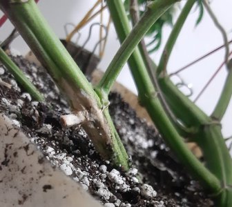 20230830_212215.jpg 20230830_212215.jpg