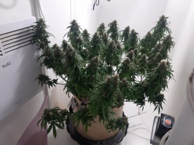 20231028_132732.jpg 20231028_132732.jpg