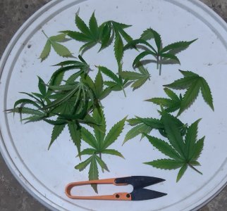 20230902_084142.jpg 20230902_084142.jpg