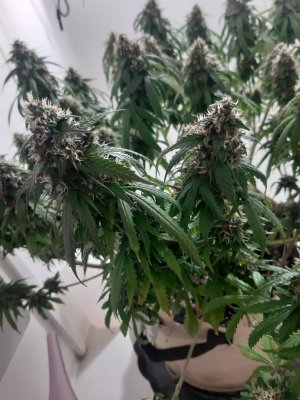 20231028_132719.jpg 20231028_132719.jpg