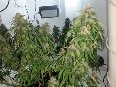 20231028_132559.jpg 20231028_132559.jpg