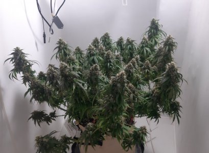 20231028_192009.jpg 20231028_192009.jpg