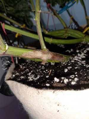 20231028_191349.jpg 20231028_191349.jpg