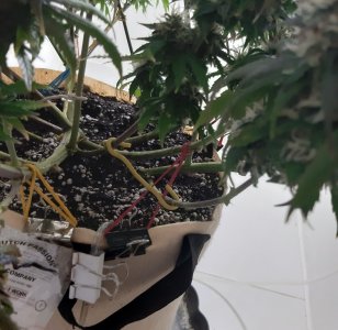 20231028_191232.jpg 20231028_191232.jpg