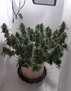 20231029_093916.jpg 20231029_093916.jpg