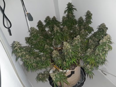 20231029_083840.jpg 20231029_083840.jpg