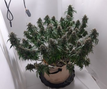 20231029_093551.jpg 20231029_093551.jpg