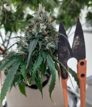 20231029_083740.jpg 20231029_083740.jpg