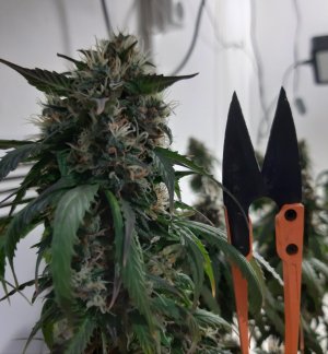 20231029_083800.jpg 20231029_083800.jpg