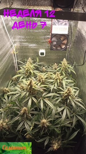 Picsart_23-10-29_08-04-35-857.jpg Picsart_23-10-29_08-04-35-857.jpg