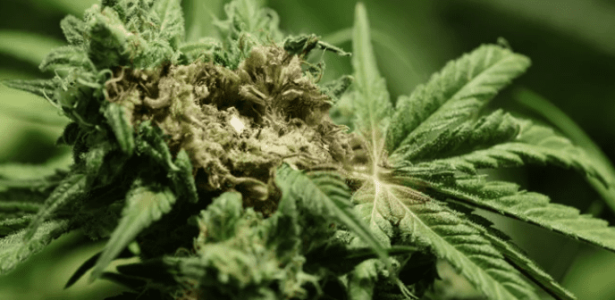 1641839486932.png 1641839486932.png