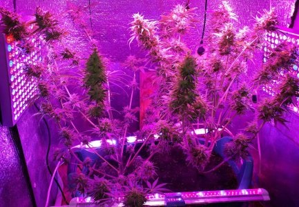 devotchka-auto-doctors-choise__YVF1FXI8YEK4vkfa.jpg devotchka-auto-doctors-choise__YVF1FXI8YEK4vkfa.jpg