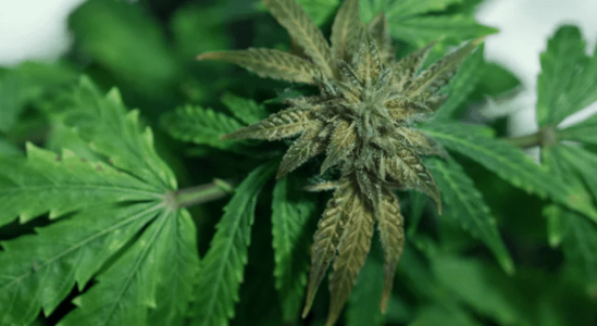 1642102809672.png 1642102809672.png