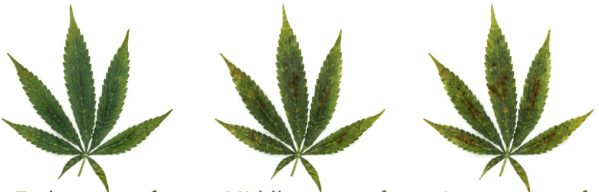 1642241869428.png 1642241869428.png