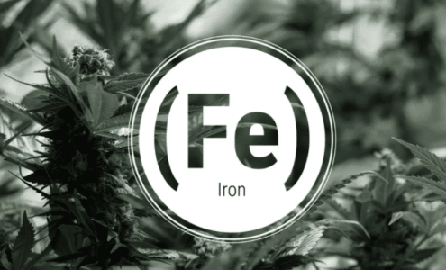 1642442405861.png 1642442405861.png