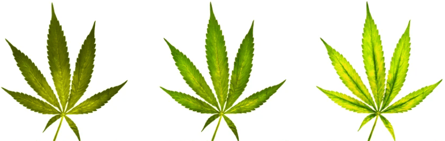 1642442544798.png 1642442544798.png