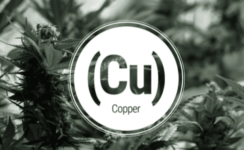 1642519413129.png 1642519413129.png