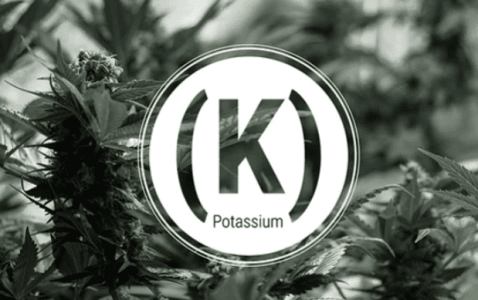 1642532811749.png 1642532811749.png