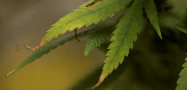 1642532995401.png 1642532995401.png