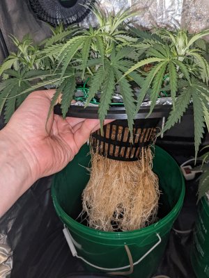 PXL_20220119_123129825.jpg PXL_20220119_123129825.jpg