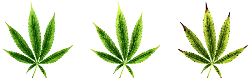 1642630293807.png 1642630293807.png