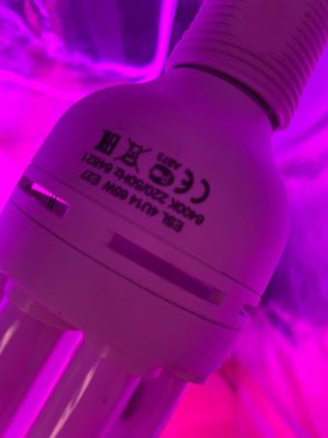 FB472B49-19C4-4722-983E-3EA3598DA9C8.jpeg FB472B49-19C4-4722-983E-3EA3598DA9C8.jpeg