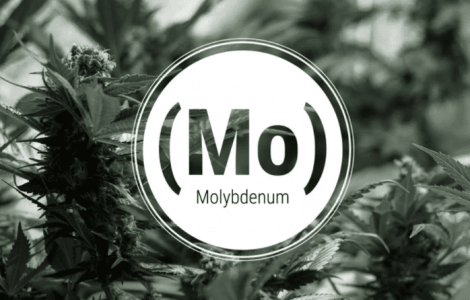 1643200128807.png 1643200128807.png