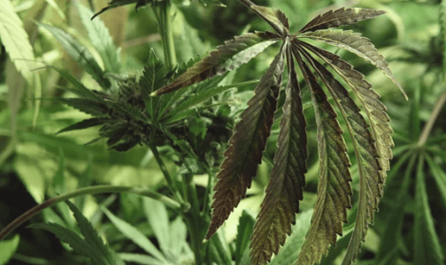 1643200220191.png 1643200220191.png