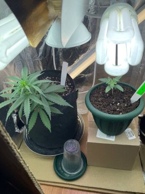 E0D363BE-24CF-4DA6-8E38-2273237E78A6.jpeg E0D363BE-24CF-4DA6-8E38-2273237E78A6.jpeg