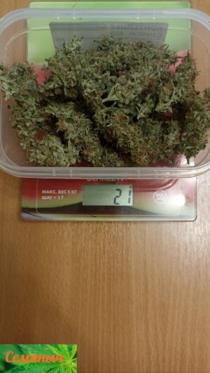 Picsart_23-11-04_21-41-58-252.jpg Picsart_23-11-04_21-41-58-252.jpg