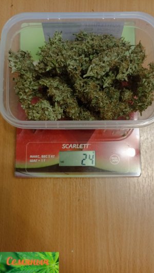 Picsart_23-11-04_21-33-40-010.jpg Picsart_23-11-04_21-33-40-010.jpg