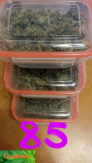 Picsart_23-11-04_21-44-30-959.jpg Picsart_23-11-04_21-44-30-959.jpg