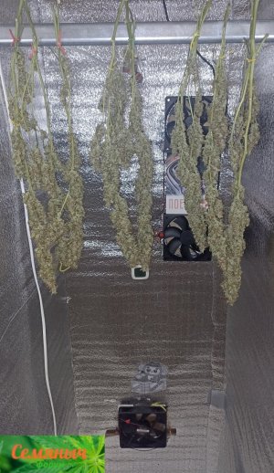 Picsart_23-11-04_21-01-40-928.jpg Picsart_23-11-04_21-01-40-928.jpg